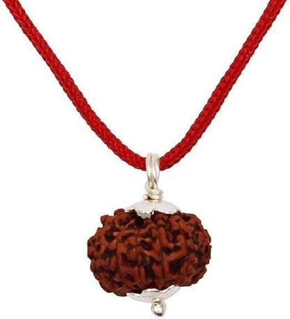 Original 7 Mukhi Rudraksha Bead with Silver Cap for Success and Career Growth