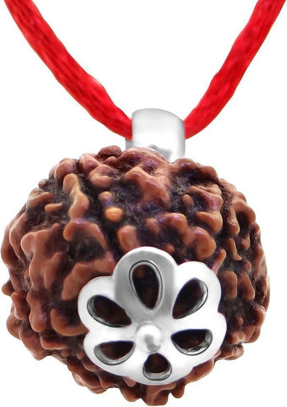 Original 5 Mukhi Rudraksha Bead for Meditation and Healing